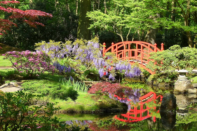 Japanse tuin park Clingendael in de lente (Den Haag)