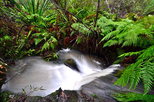 longexposure green waterfall koons australianbush greenmohawk 2413 nikond90 tokina1116mm koonsphotography