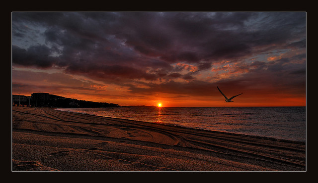 Playa de aro 2011 - The Beach / Night Shot #5 -- Spanish Sunrise II with seagull