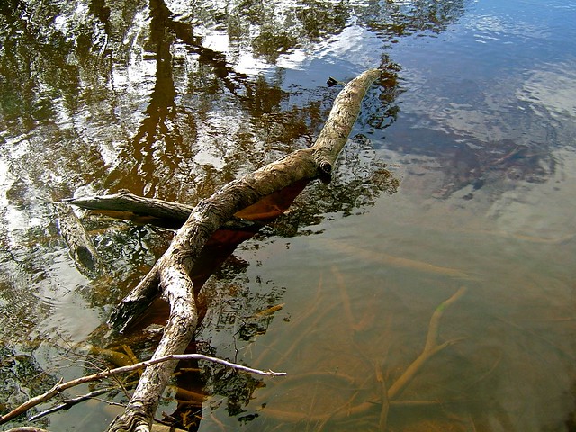 Reflection at Duck Lagoon, Kangaroo Island