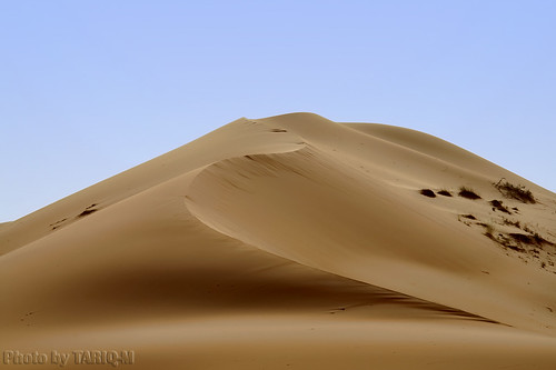 Desert Sand - Explore by TARIQ-M