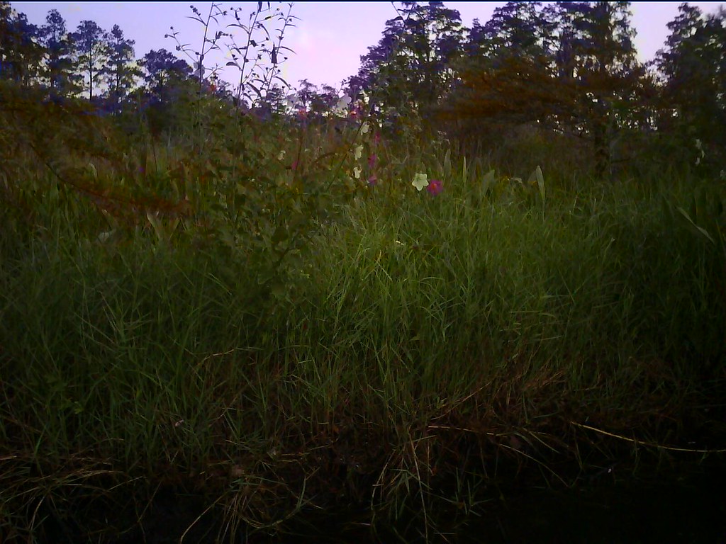 Grotto (Red) Trail