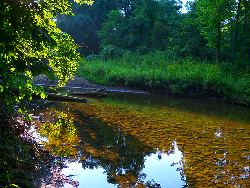 park ohio water creek vines woods pataskala