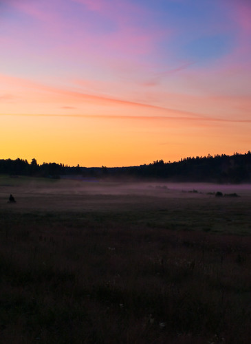 Misty Morning by Peddan Foto, morning light sky sun color colour field misty forest sunrise landscape sweden meadow fritsla frissl
