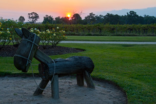 Wooden Horse at Sunset
