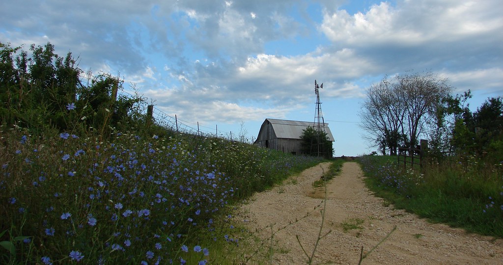 wildflower lane