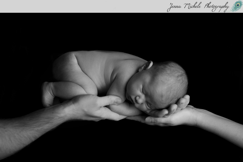 Newborn Shoot | Newborn photo shoot by photographer Jenna Mi… | Jenna  Michele Photography | Flickr