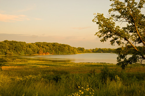 ohio geotagged nikon raw nef goldenhour cs5 d3s sippolake starkcountyohio sippolakepark nikongp1 nikkor24120f4