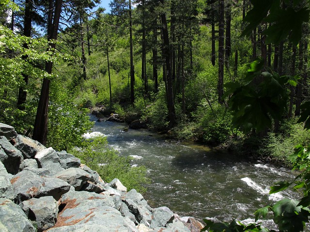 A Stream in the Green