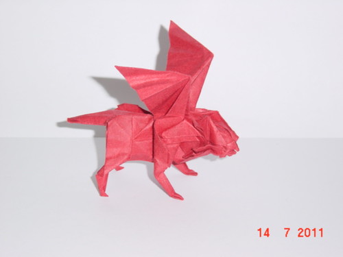 Griffin | by Rooster Man