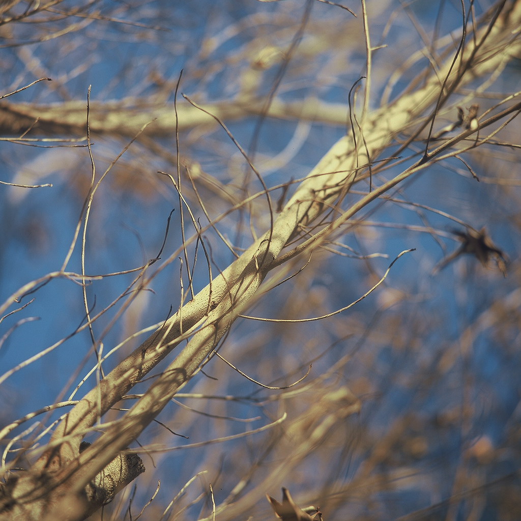Diagonal - The diagonal composition is always a winner. Kowa