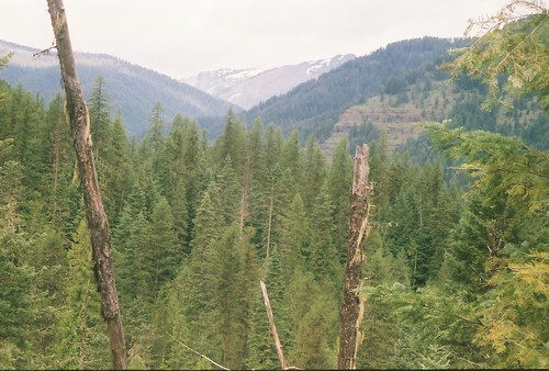 montana kootenainationalforest