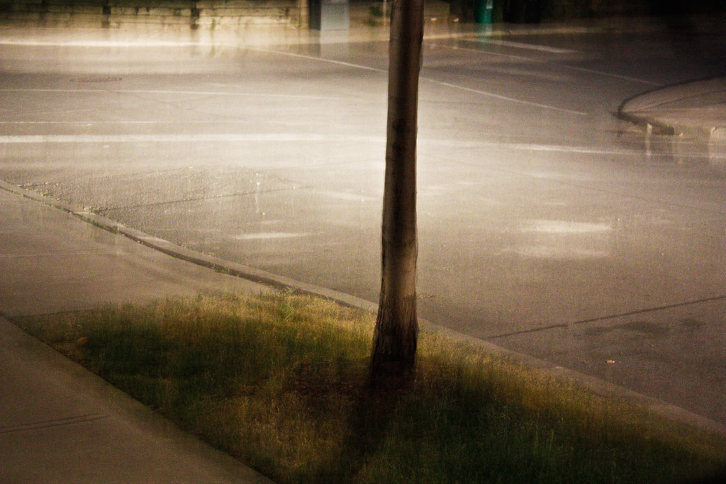 Stoop Flickr stoop view | Michael McCheese | Flickr
