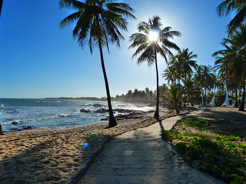 ocean blue sunset sky sun beach freeassociation rock brasil sand path wave palm beam flair fz40 arimm
