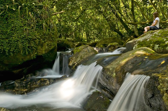 Natureza; Cachoeiras de Macacu, Brasil