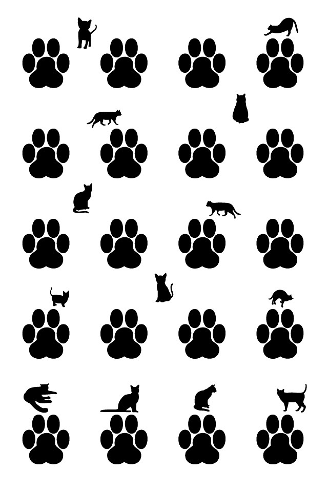Iphone Wallpaper Cats 猫と肉球 壁紙 忍者のタマゴ 囧 Flickr