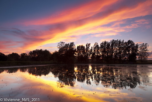 sunset illinois pond skies marsh savannah prairie preserves marmalade lakecounty rollinssavannahforestpreserve