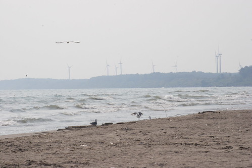 sea lake beach port wind farm gull erie burwell