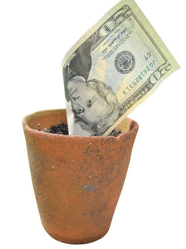 Money doesn't grow in pots | by Images_of_Money