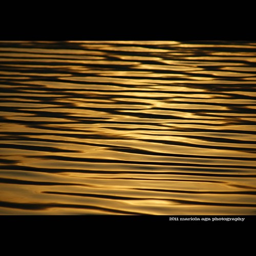 park sunset summer abstract nature water square golden evening pond surface schaumburg ripples tones liquidgold thegalaxy bussewoodsforestpreserve