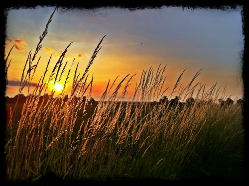 After rain comes the sun by tinobeirau, camera cam iphoneography