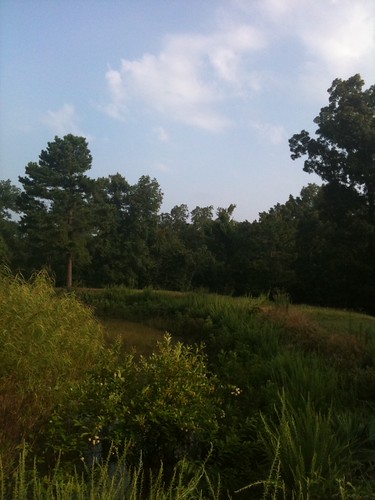 Country Paradise, 