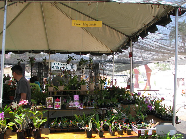 Santa Barbara International Orchid Fair
