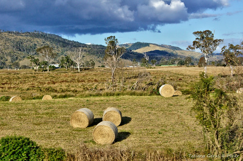 trip rural australia qld queensland hay replaced easyhdr