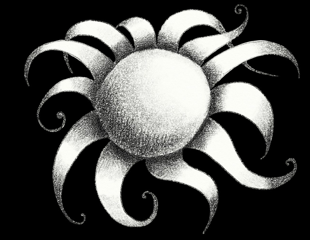 Spider Flower Drawing In Black And White Drawn In Art Rage Flickr