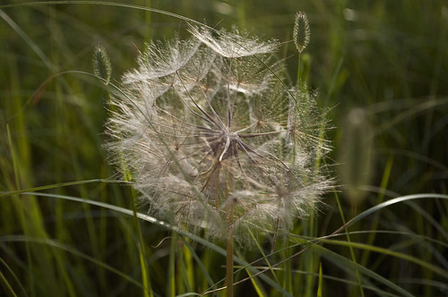 _DSC0028 by Bonnie James,