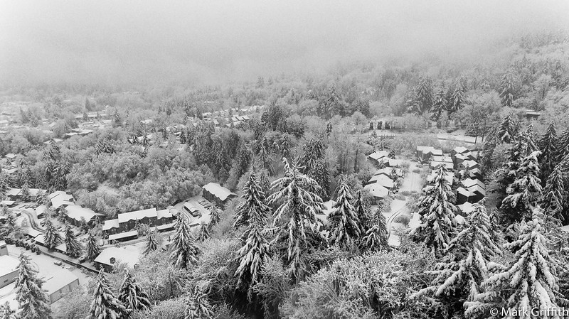 Issaquah On Snow Day