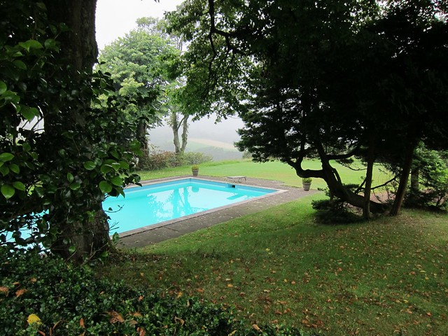 Pool in holiday garden