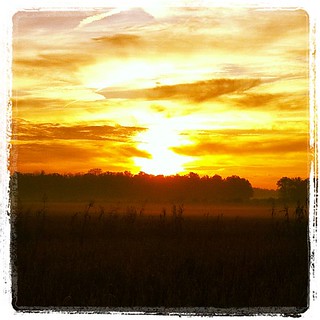 Sunrise - Indiana Countryside