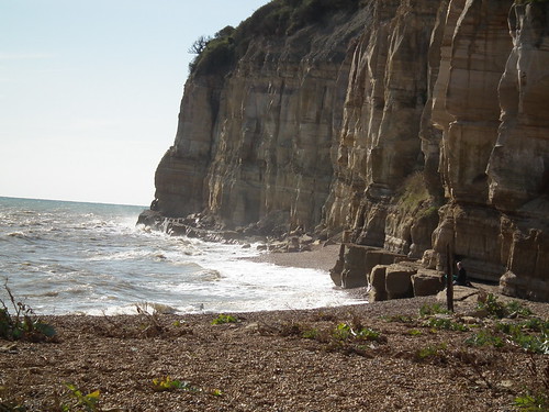 Cliff End, Pett | by hollyskyedogs