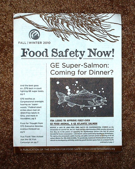 GE:GMO Salmon (ICKY!!)