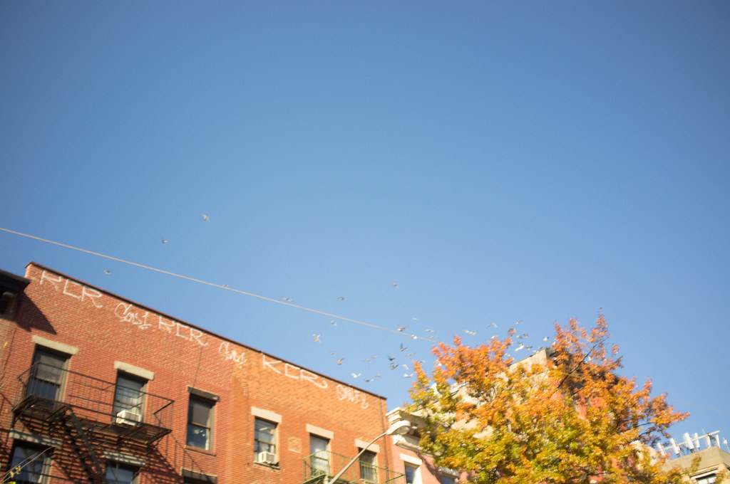 Red brick New York City apartment building with black iron fire escapes against a clear autumn sky.