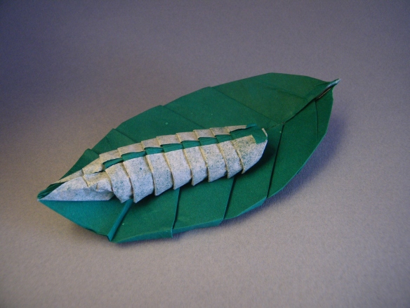 Caterpillar on a leaf - Eugeny Fridrikh