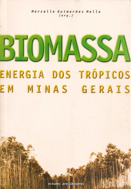Biomassa: energia dos trópicos em Minas Gerais
