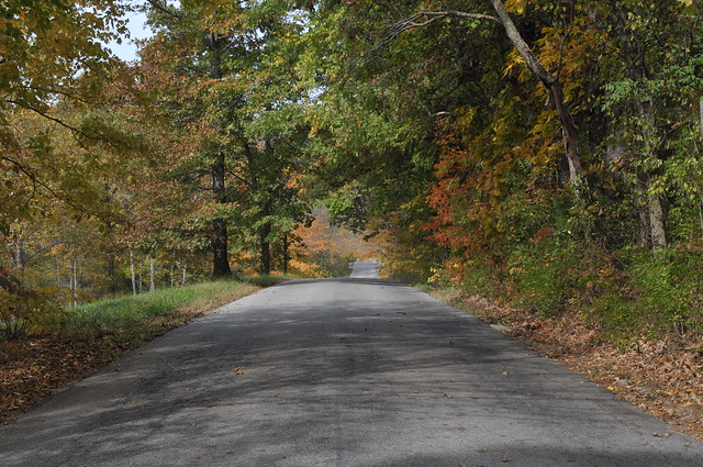 The road leading to T.C Steele house and museum