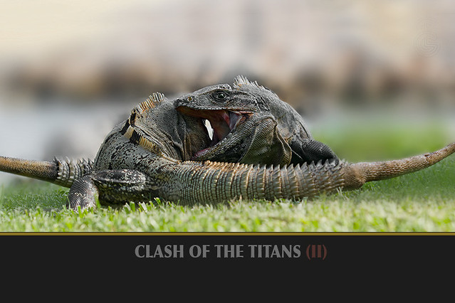 Clash of The Titans (II)