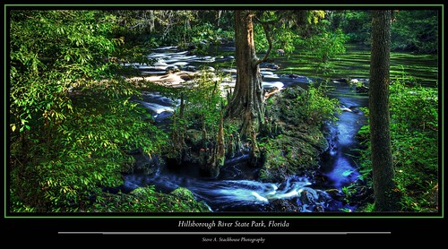 nature river landscape stream florida rapids cypress fl hillsboroughriverstatepark hillsboroughriver floridastateparks