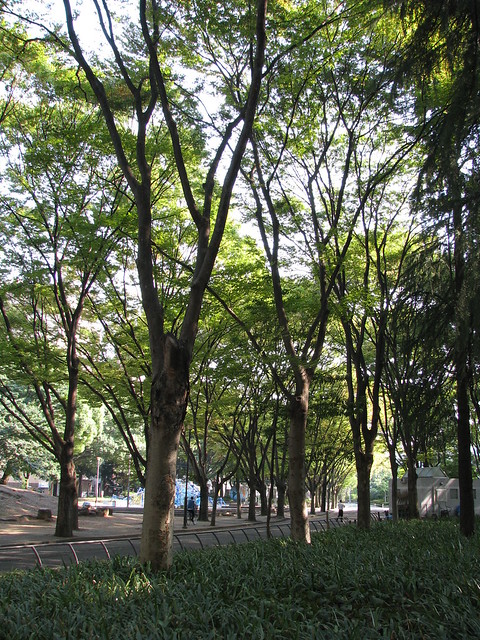 Nagoya 名古屋 - Park 公園
