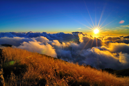 sunset sky mountain night clouds sunrise star glow taiwan trails galaxy flare moonlight formosa 台灣 雲 gettyimages crepuscularrays startrails milkyway 合歡山 seaofclouds 夕照 武嶺 雲海 南投縣 日出 太魯閣國家公園 高山 星空 雲彩 昆陽 星軌 mountainhehuan 玉山杜鵑 合歡主峰 銀河 霞光 虎杖 車軌 仁愛鄉 高山杜鵑 夕彩 松雪樓 玉山箭竹 日芒 vincentting 主峰登山口 月光雲海 hthehuan