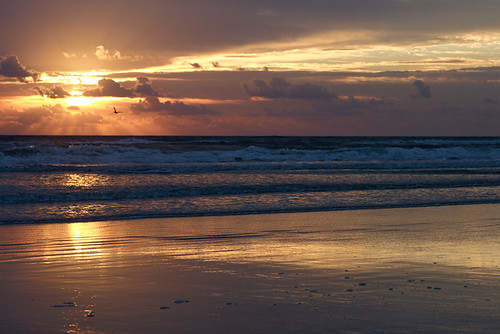 beach sunrise daytona