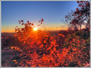 Beautiful autumn evening