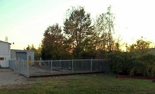 294/365 Sunset Fence