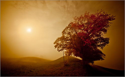 Rural Autumn by janos radler
