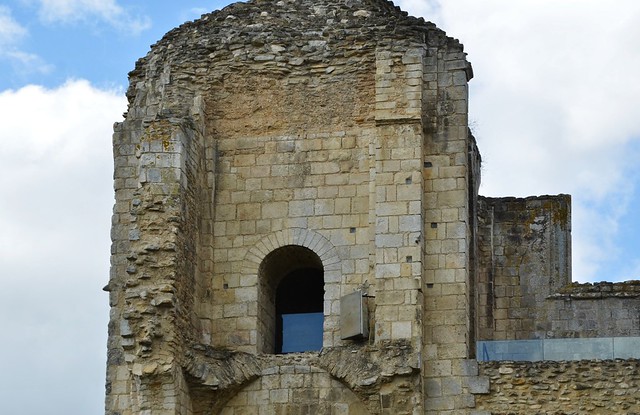Maillezais (Vendée), ruines de l'abbaye (19)