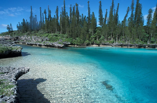 Nuova Caledonia Isola dei Pini