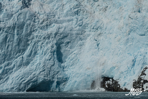 Aialik Glacier, Kenai Fjords NP, Seward